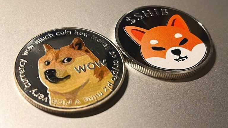 Le DOGE, une blague qui dure dans le temps !
